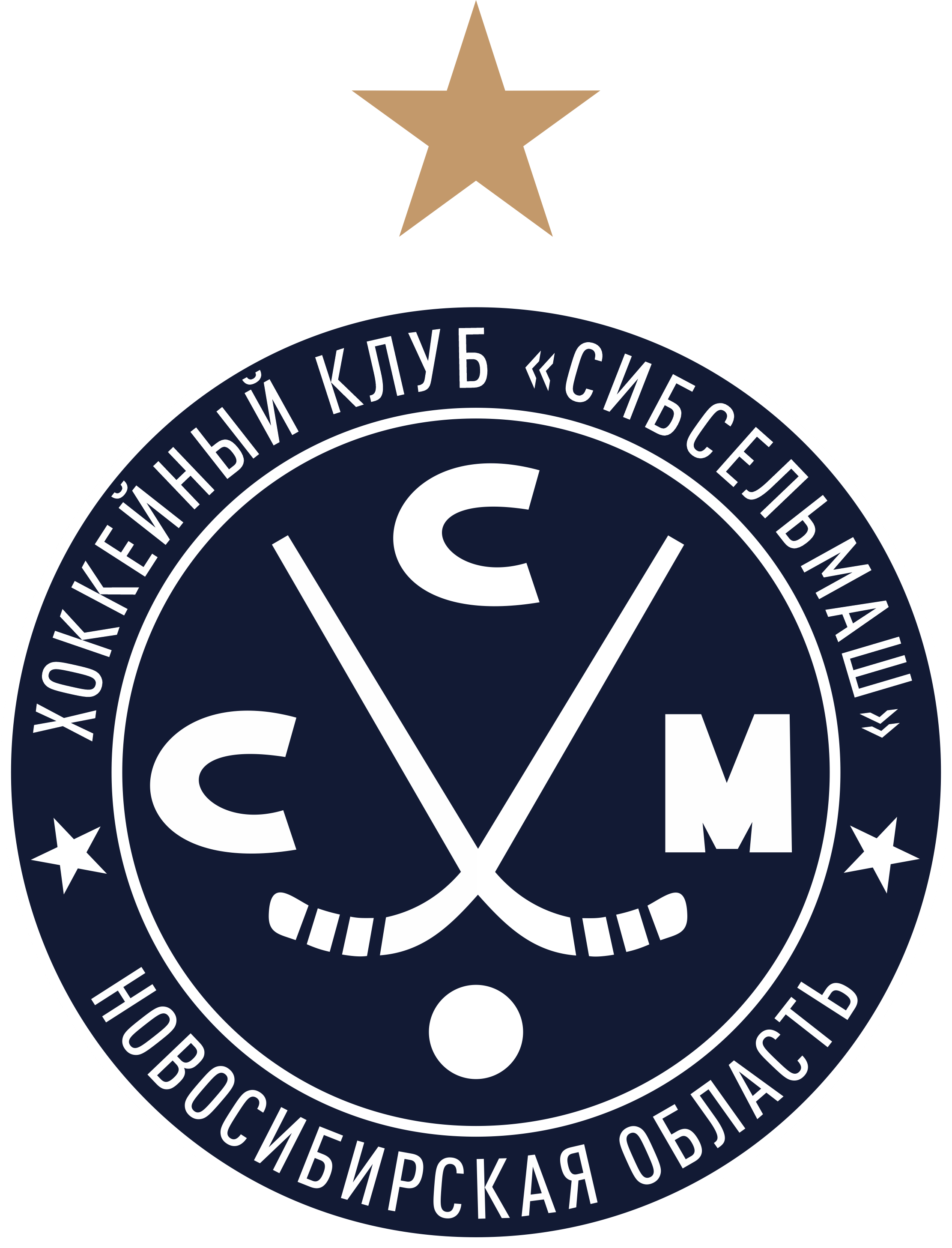 Логотип Сибсельмаш